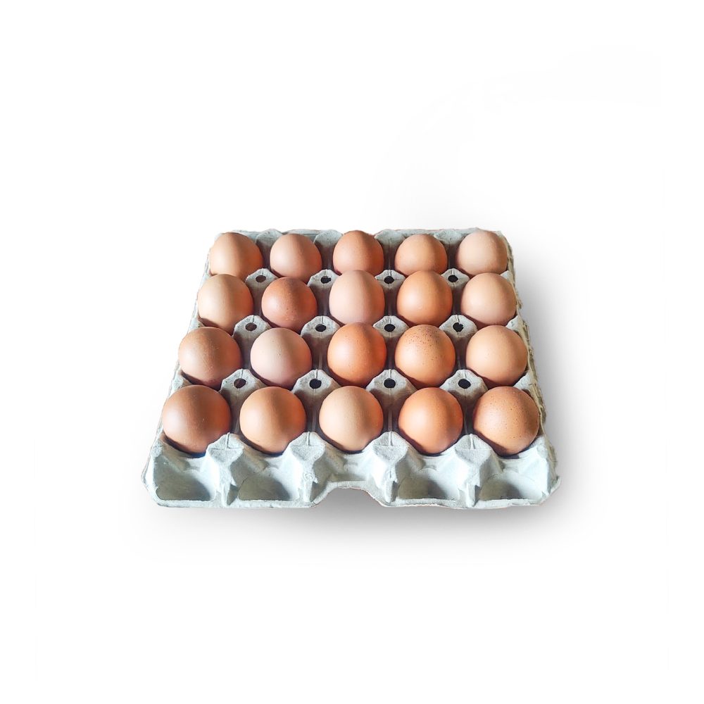 portada-30-huevos-frescos-morenos-categoría-A