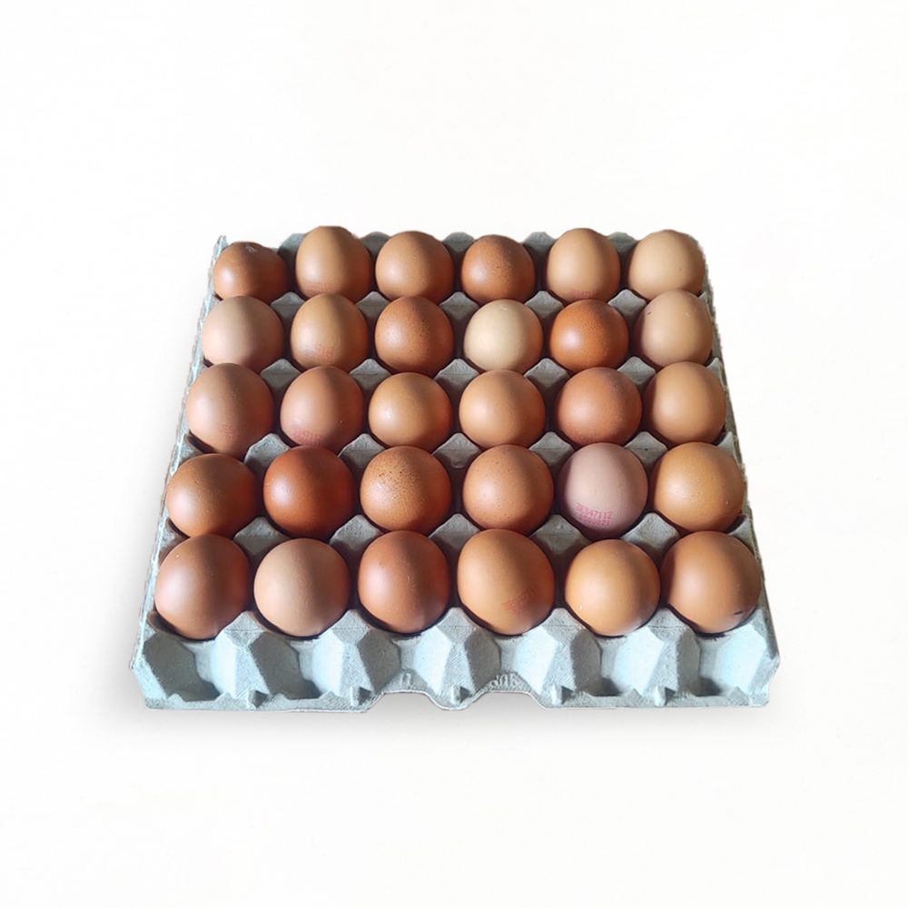 30-huevos-frescos-morenos-categoría-A-tamaño-L