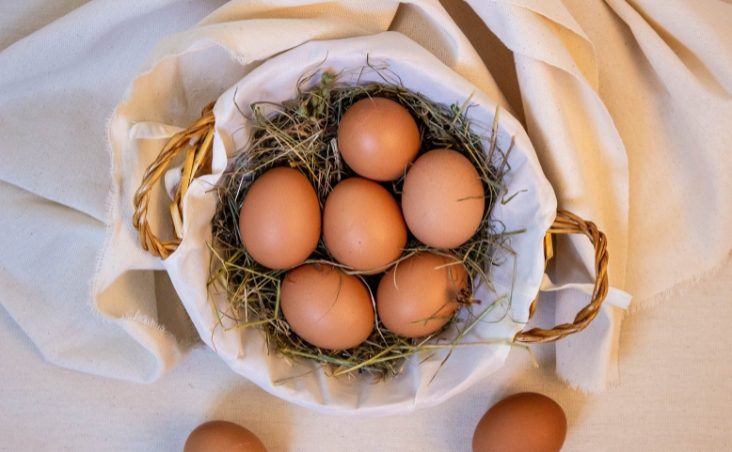 Como reconocer los huevos de calidad