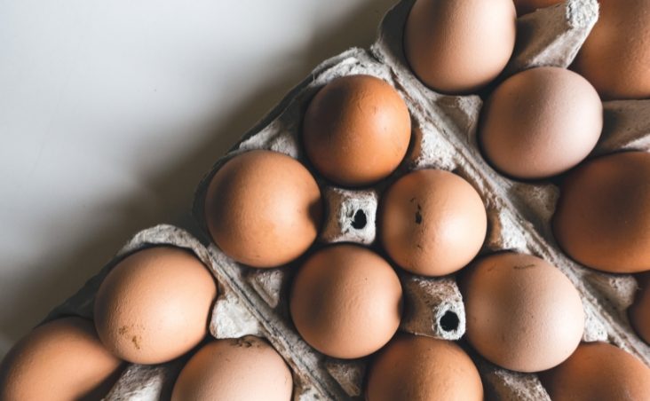 ¿Cómo Conservar los Huevos Frescos más Tiempo?